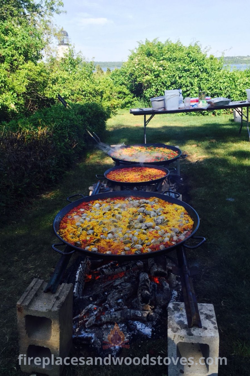 Several pizzas being grilled outdoors in an open field surrounded by picnic tables, showcasing a delightful scene of wood fire cooking. Perfect for backyard dinners and creative culinary gatherings. Find more cooking inspiration and ideas you