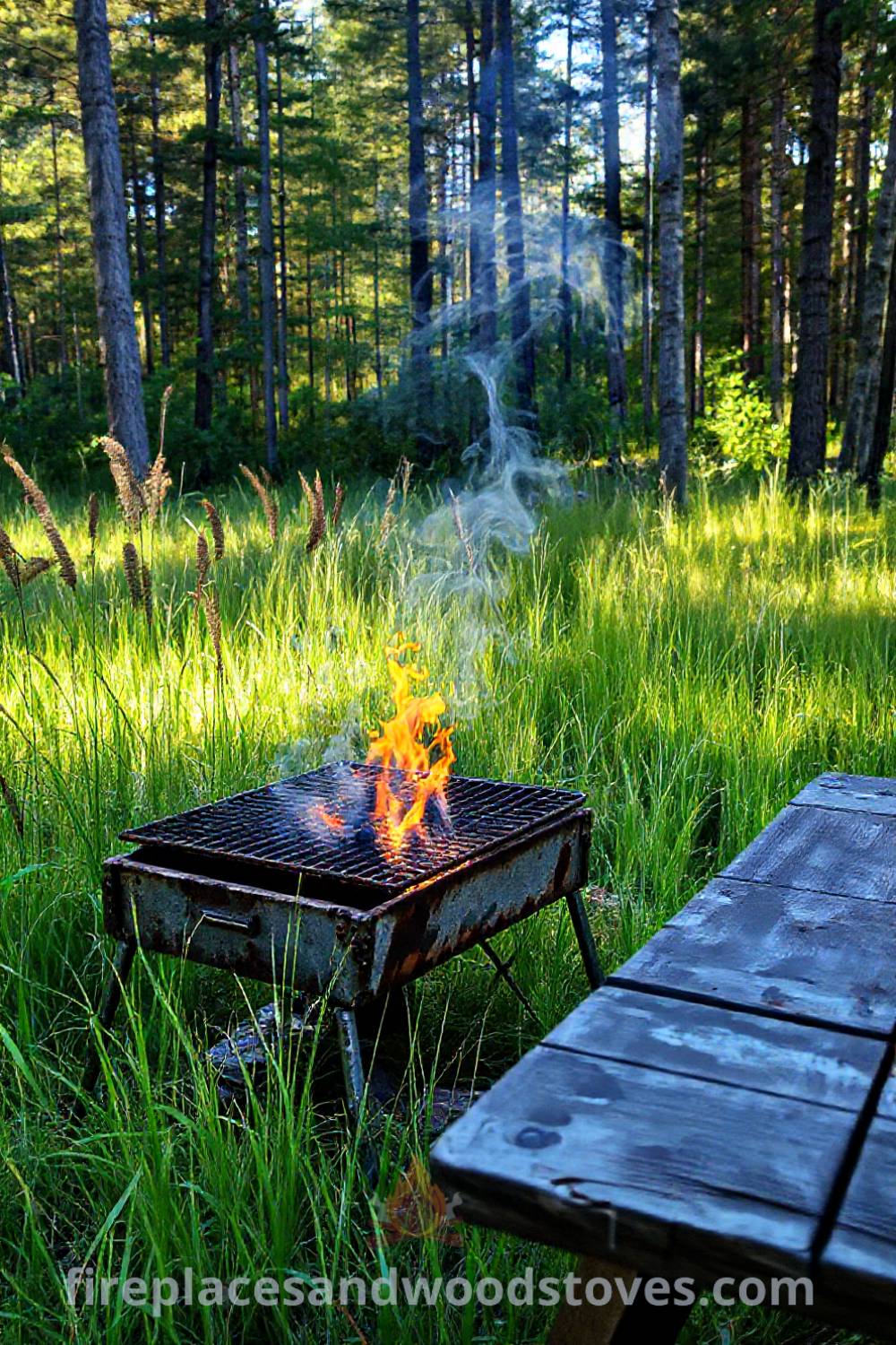Camping barbecue in a sunlit clearing surrounded by tall grass, featuring a picnic table with simple fare, creating a cozy and inviting atmosphere for outdoor gatherings. Visit patioandhomefurniture.com for incredible outdoor design ideas that will wow your guests.
